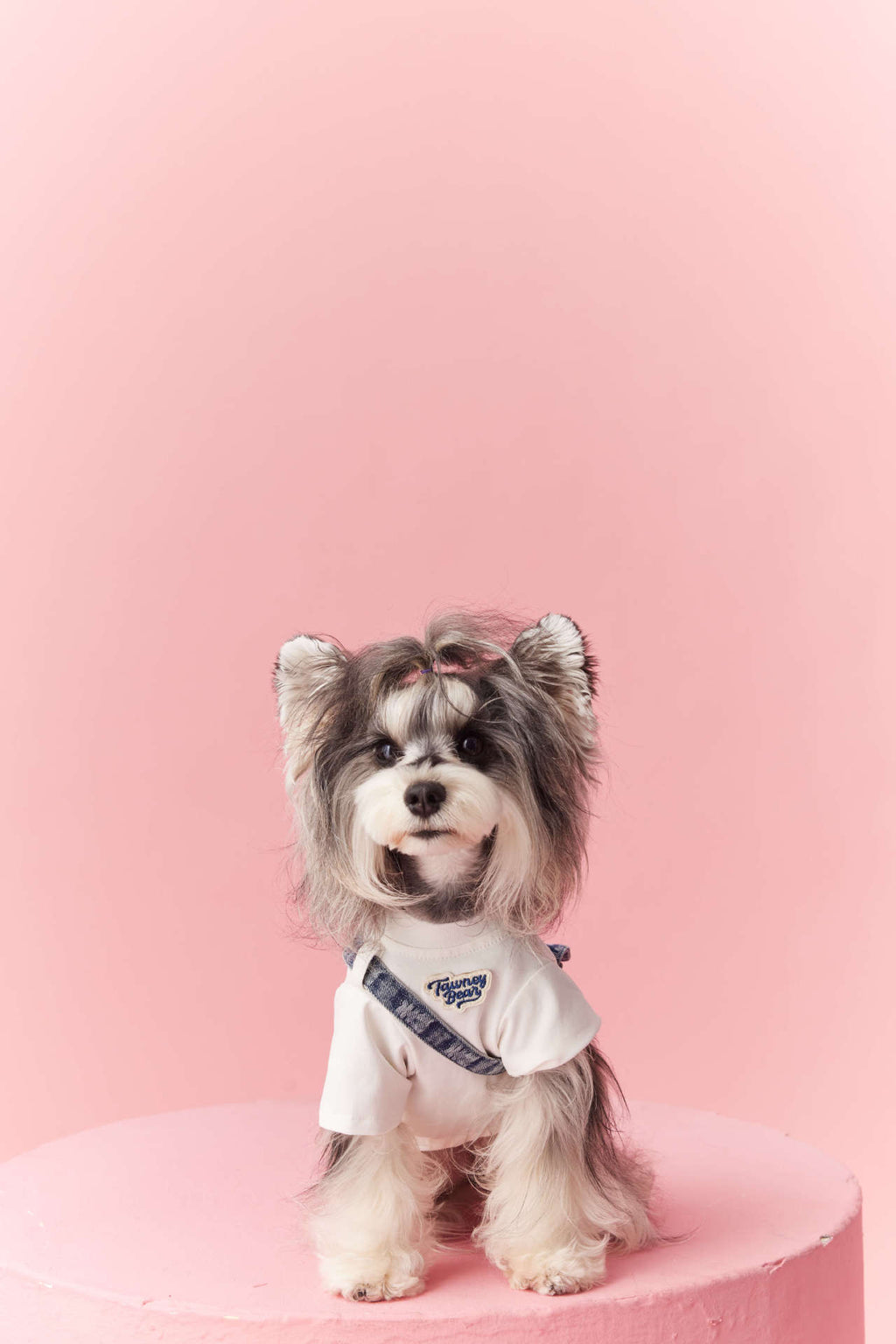 Adjustable Dog Baseball Cap | Sporty Sun Hat for Dogs