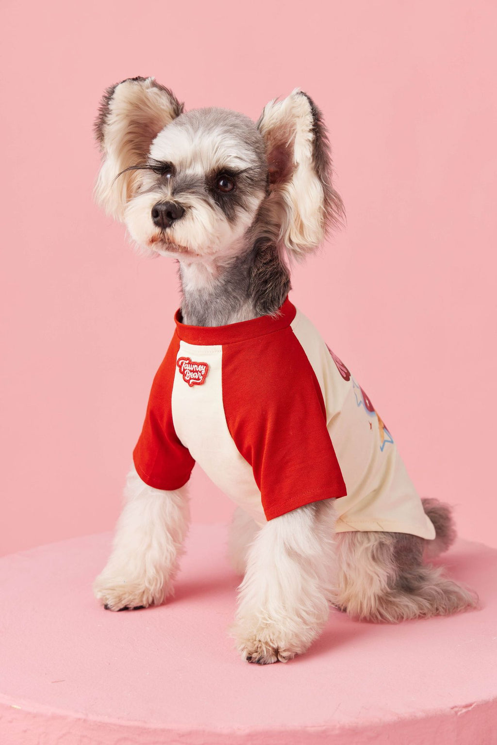 Retro Colorblock Dog Tee