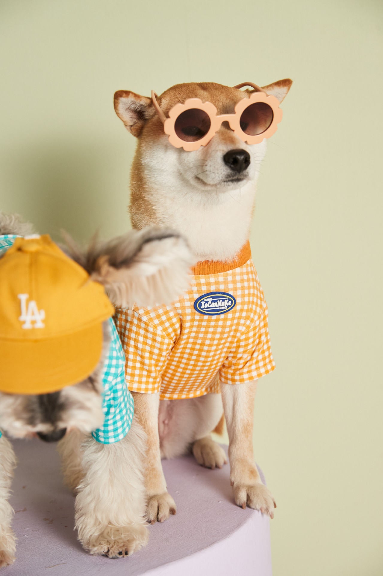 Candy Gingham Dog Tee