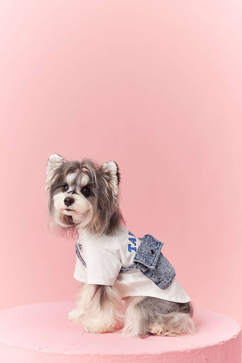 Adjustable Dog Baseball Cap | Sporty Sun Hat for Dogs