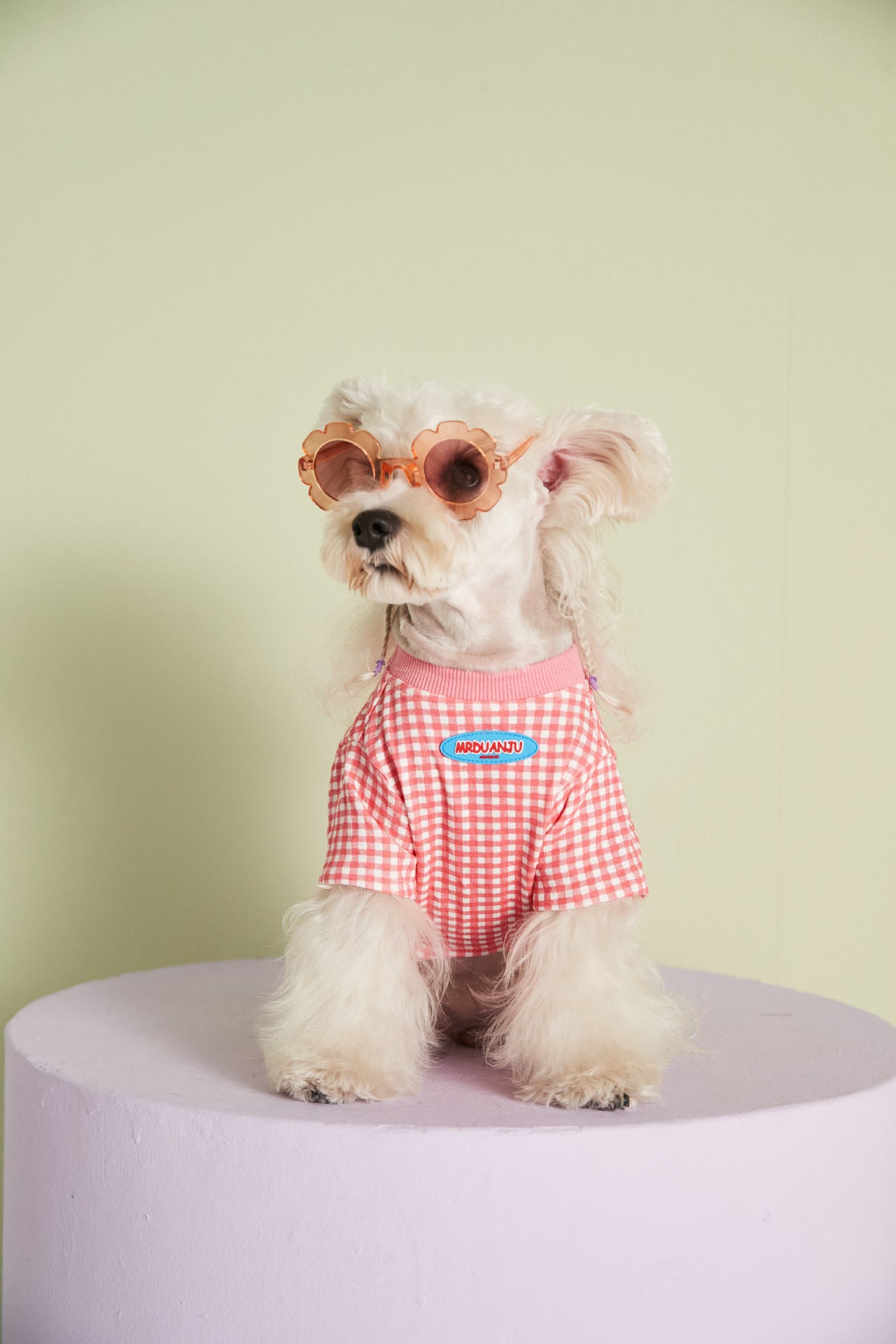 Candy Gingham Dog Tee