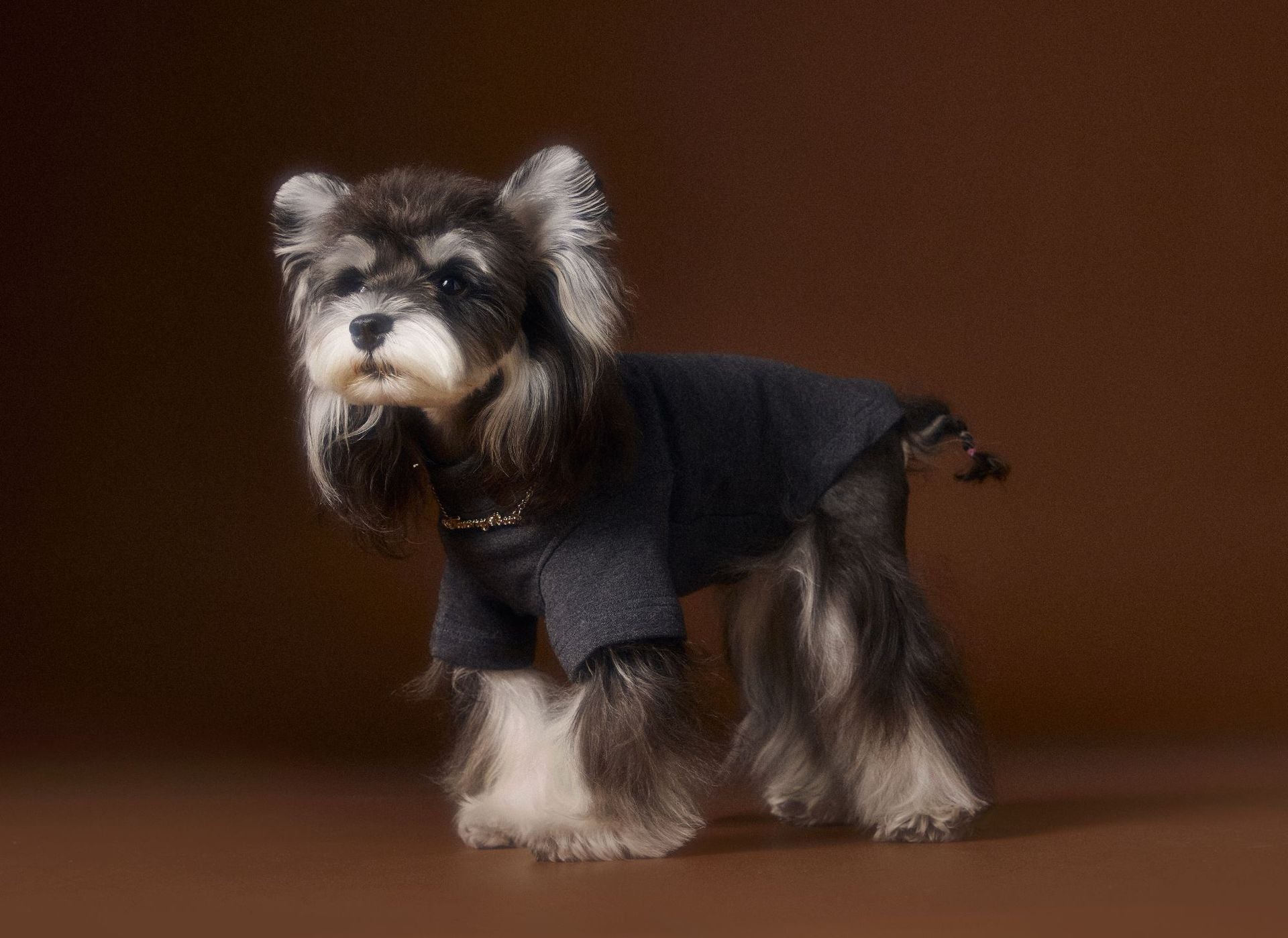 Pearl Necklace Detail Tee