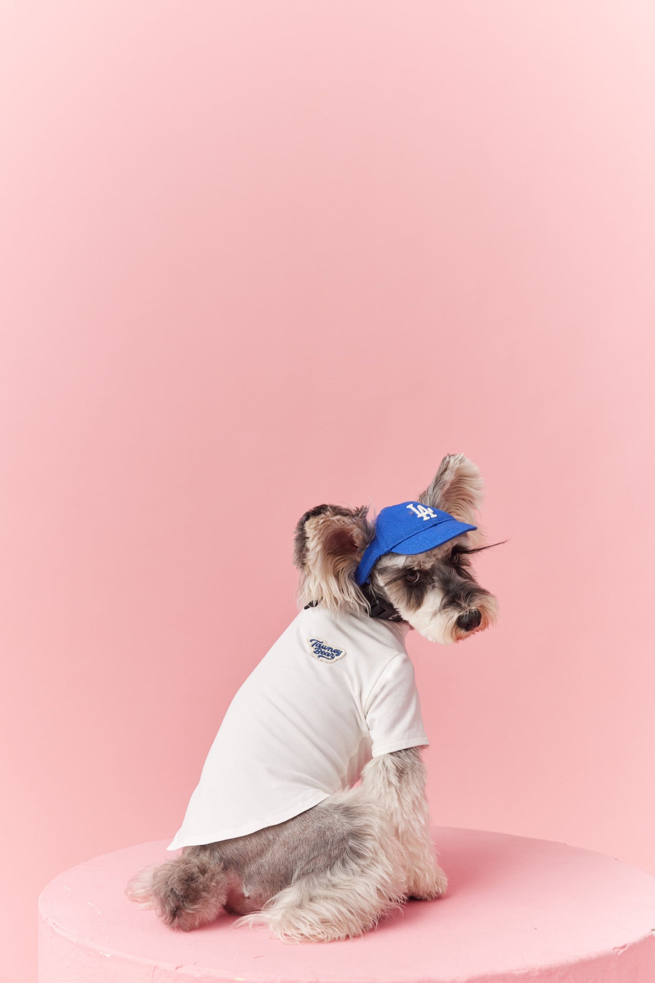 Summer Basic White Tee