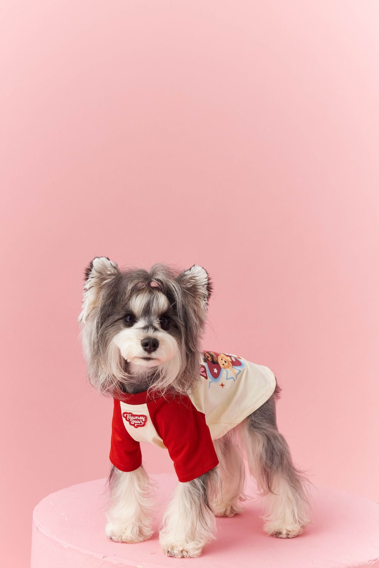 Retro Colorblock Dog Tee