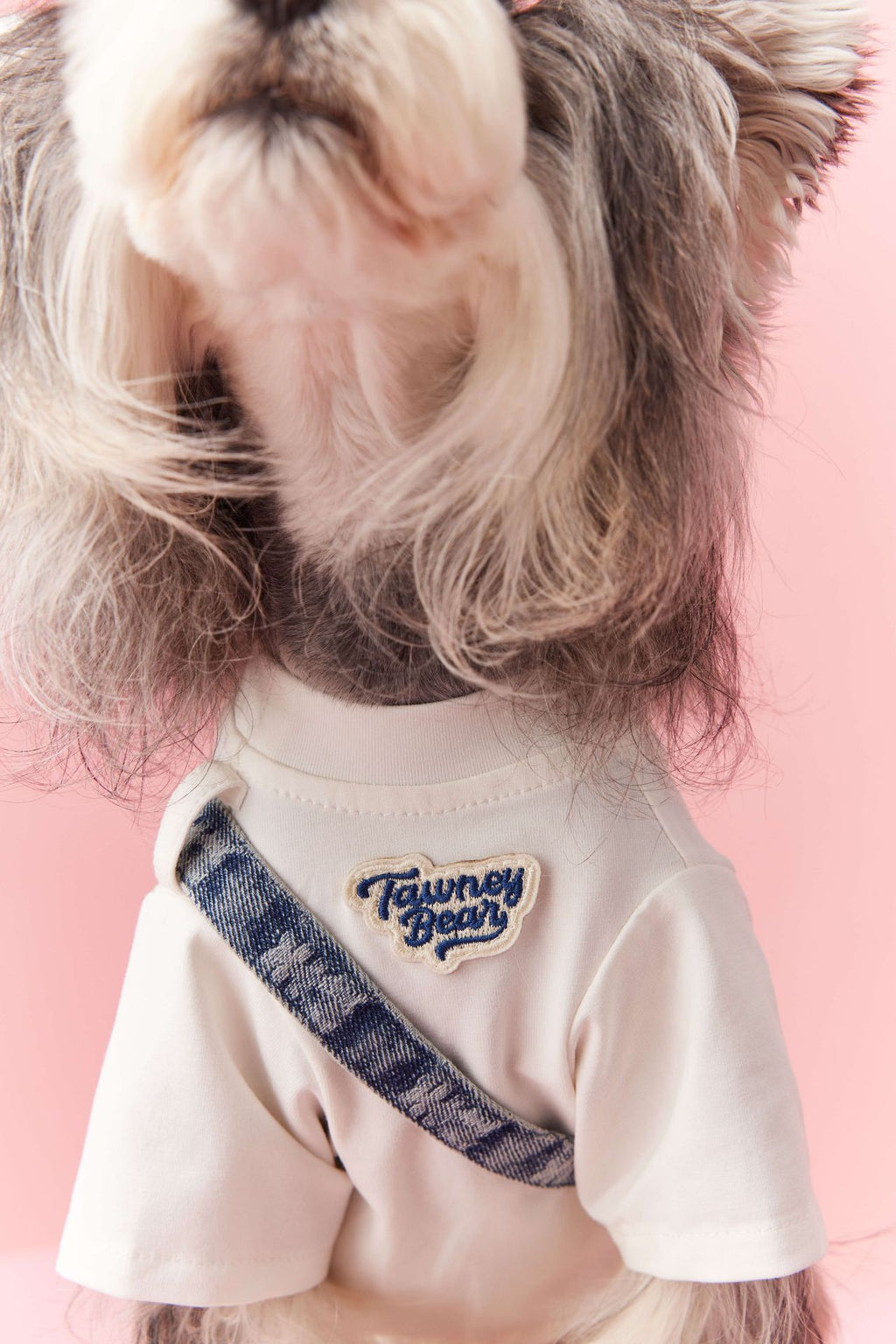 Adjustable Dog Baseball Cap | Sporty Sun Hat for Dogs