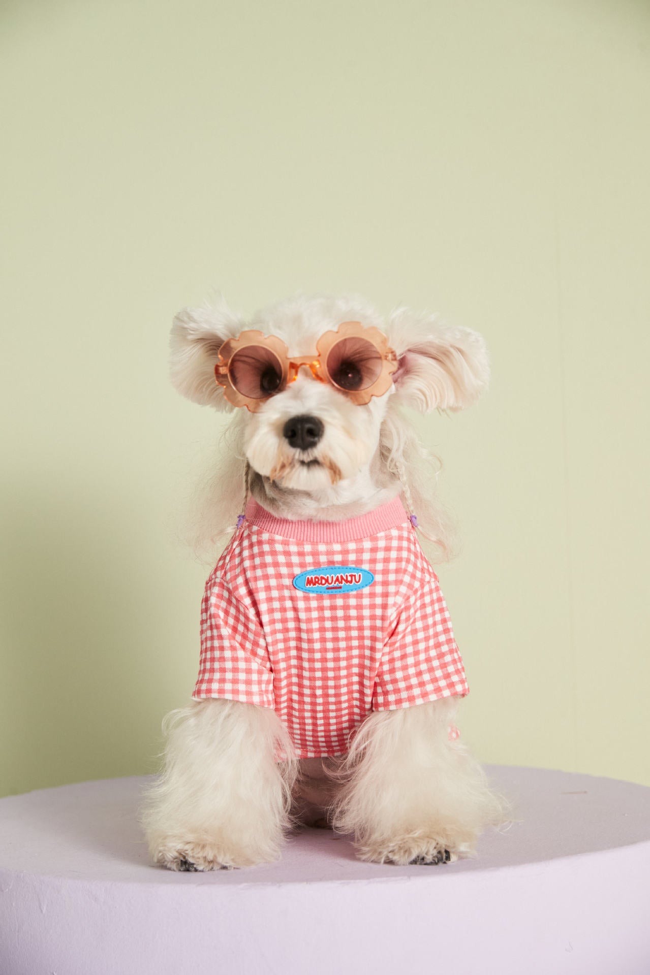 Candy Gingham Dog Tee