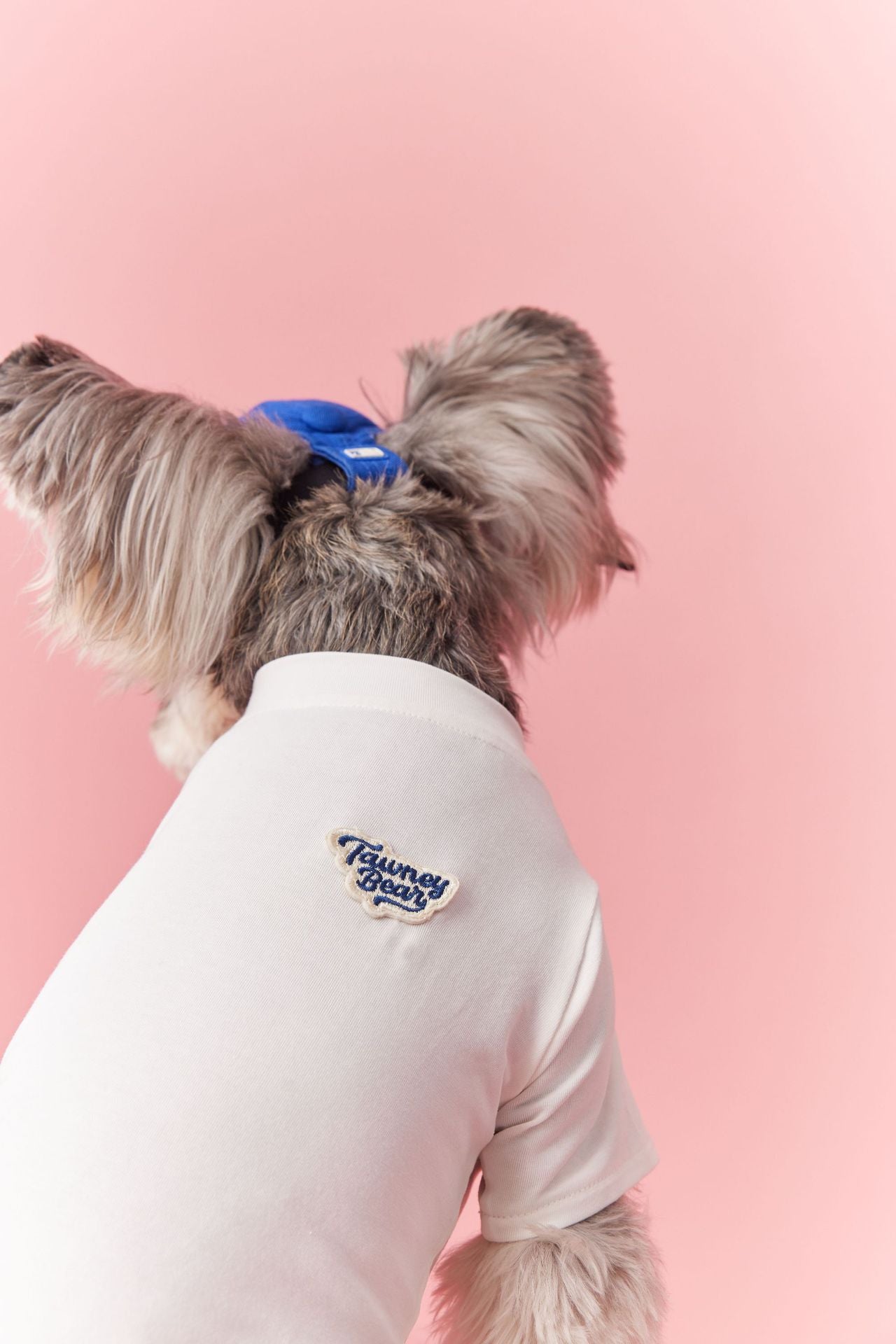 Summer Basic White Tee