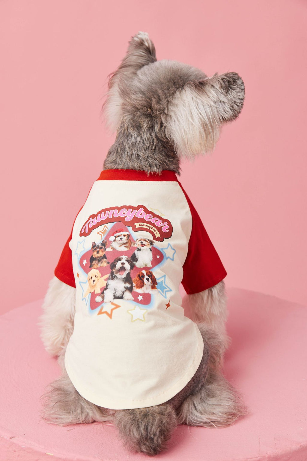 Retro Colorblock Dog Tee