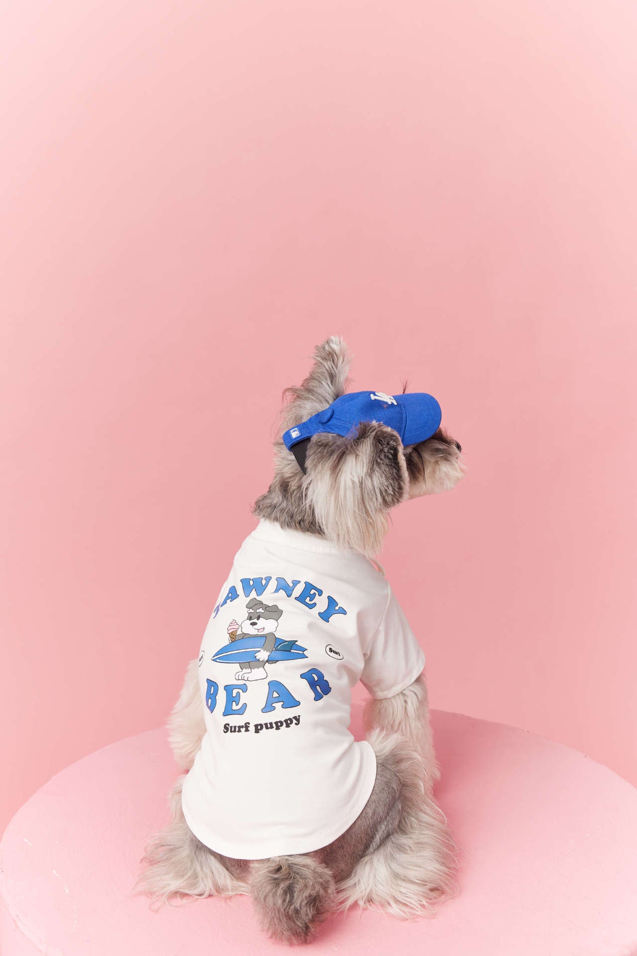 Adjustable Dog Baseball Cap | Sporty Sun Hat for Dogs