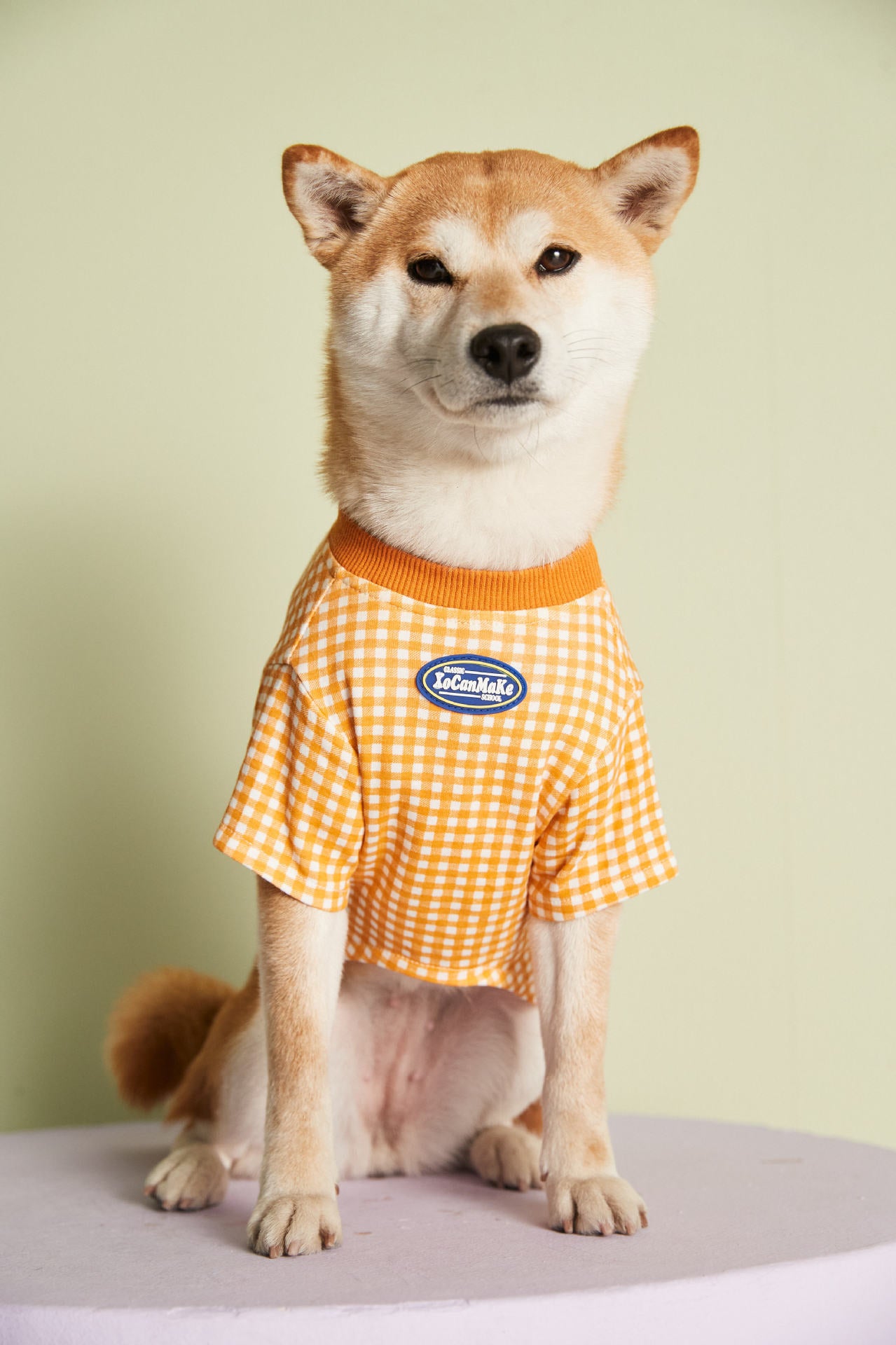 Candy Gingham Dog Tee
