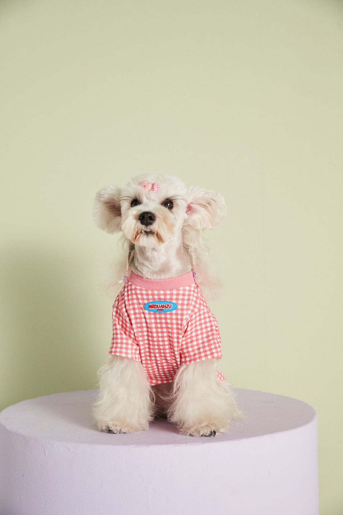 Candy Gingham Dog Tee