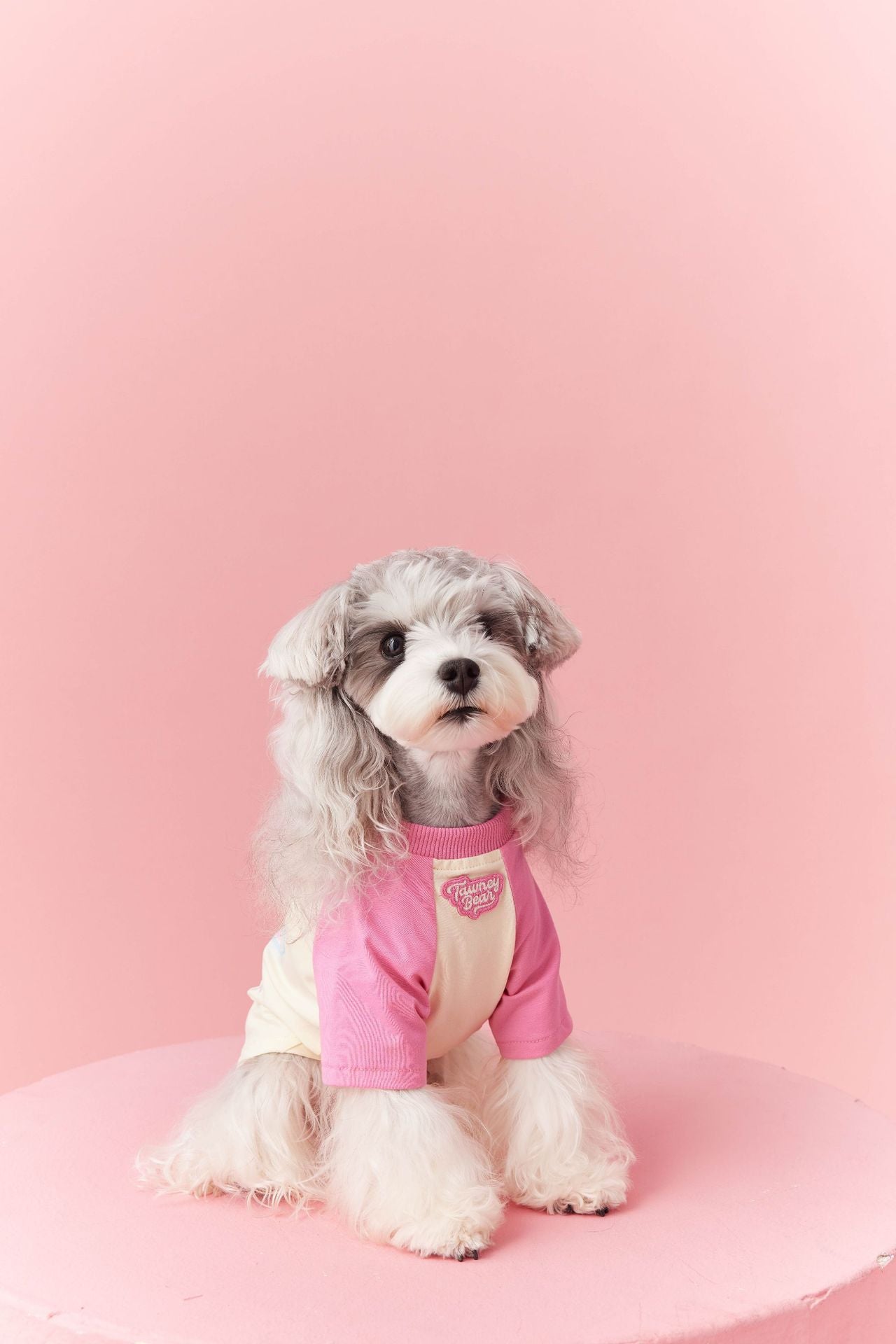 Retro Colorblock Dog Tee