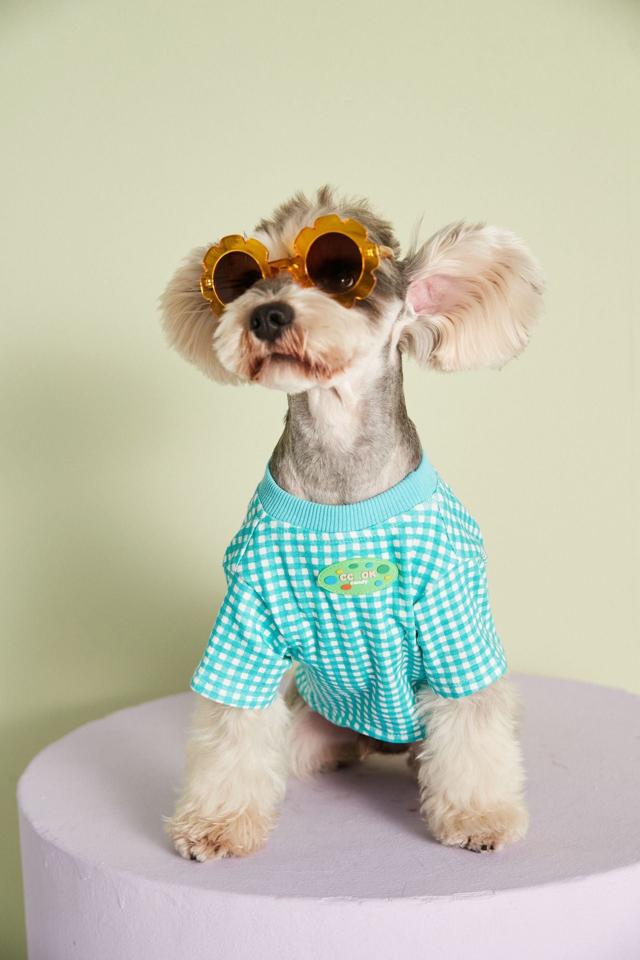 Candy Gingham Dog Tee