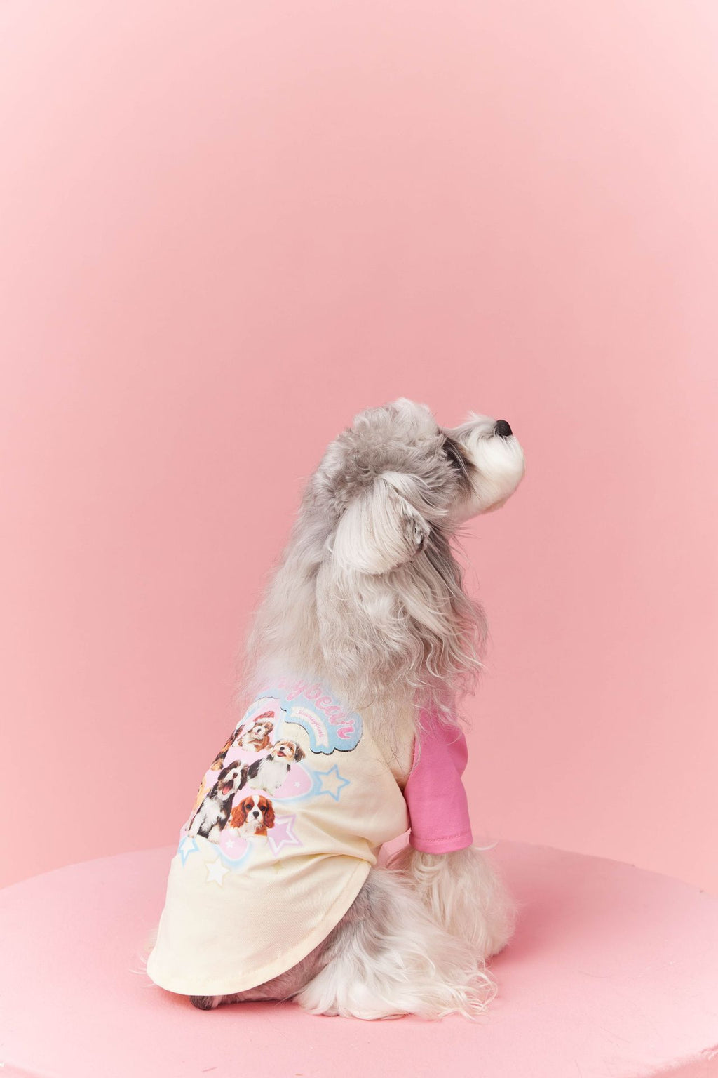 Retro Colorblock Dog Tee