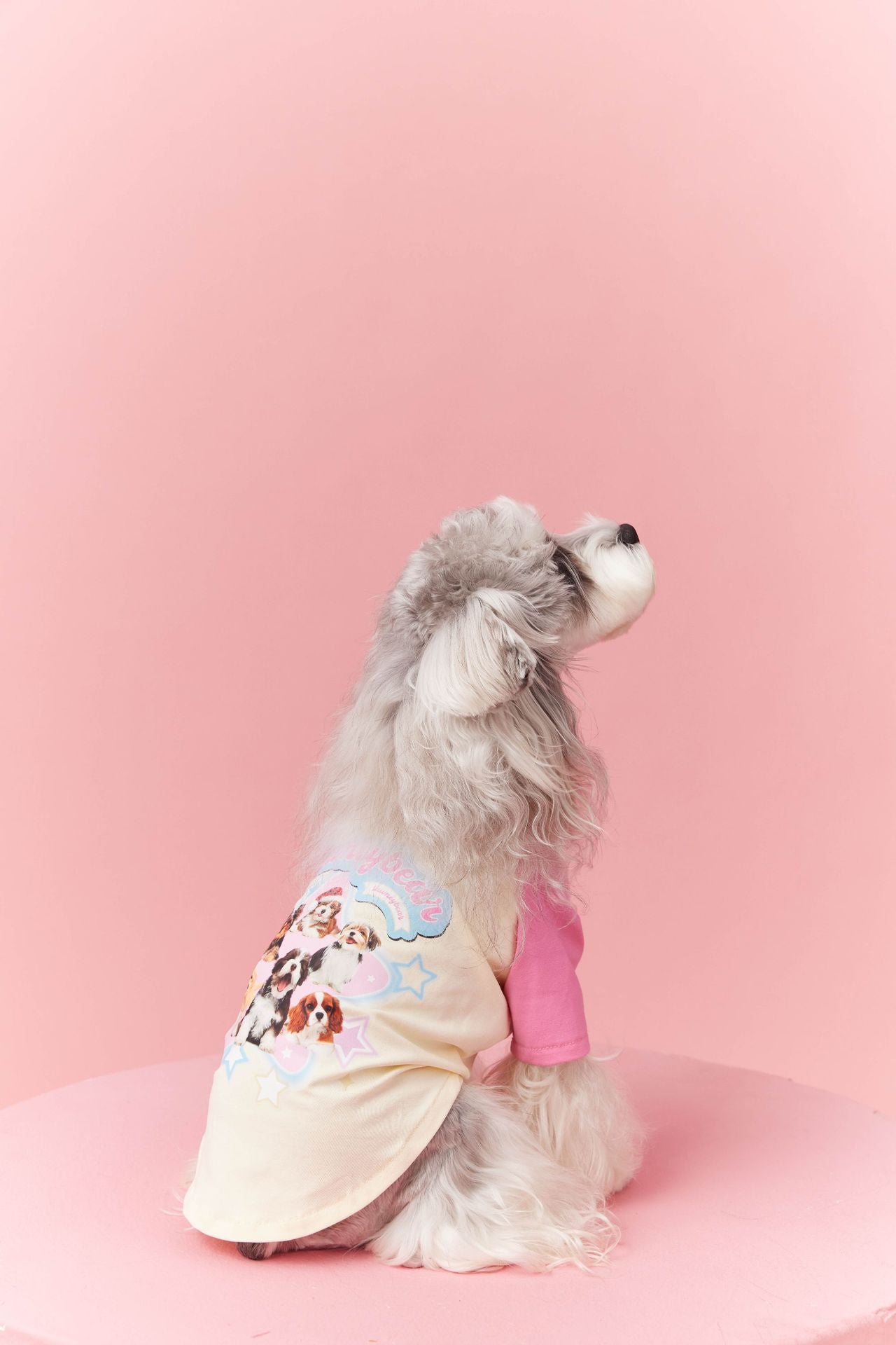 Retro Colorblock Dog Tee